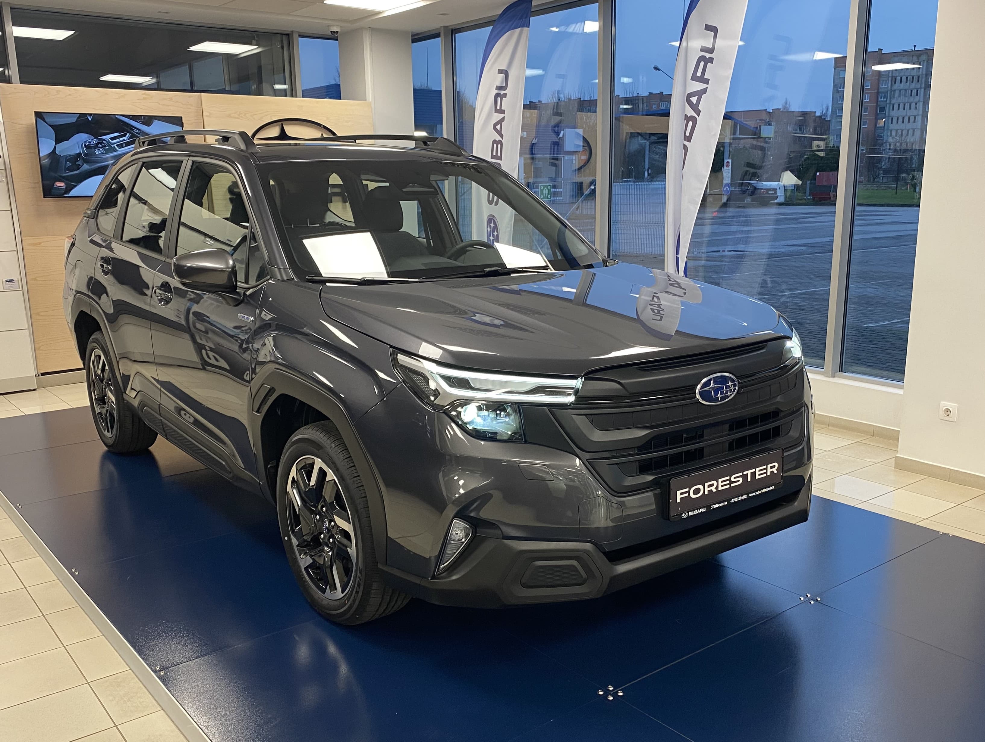 Forester ( Adventure ) 3 Grey