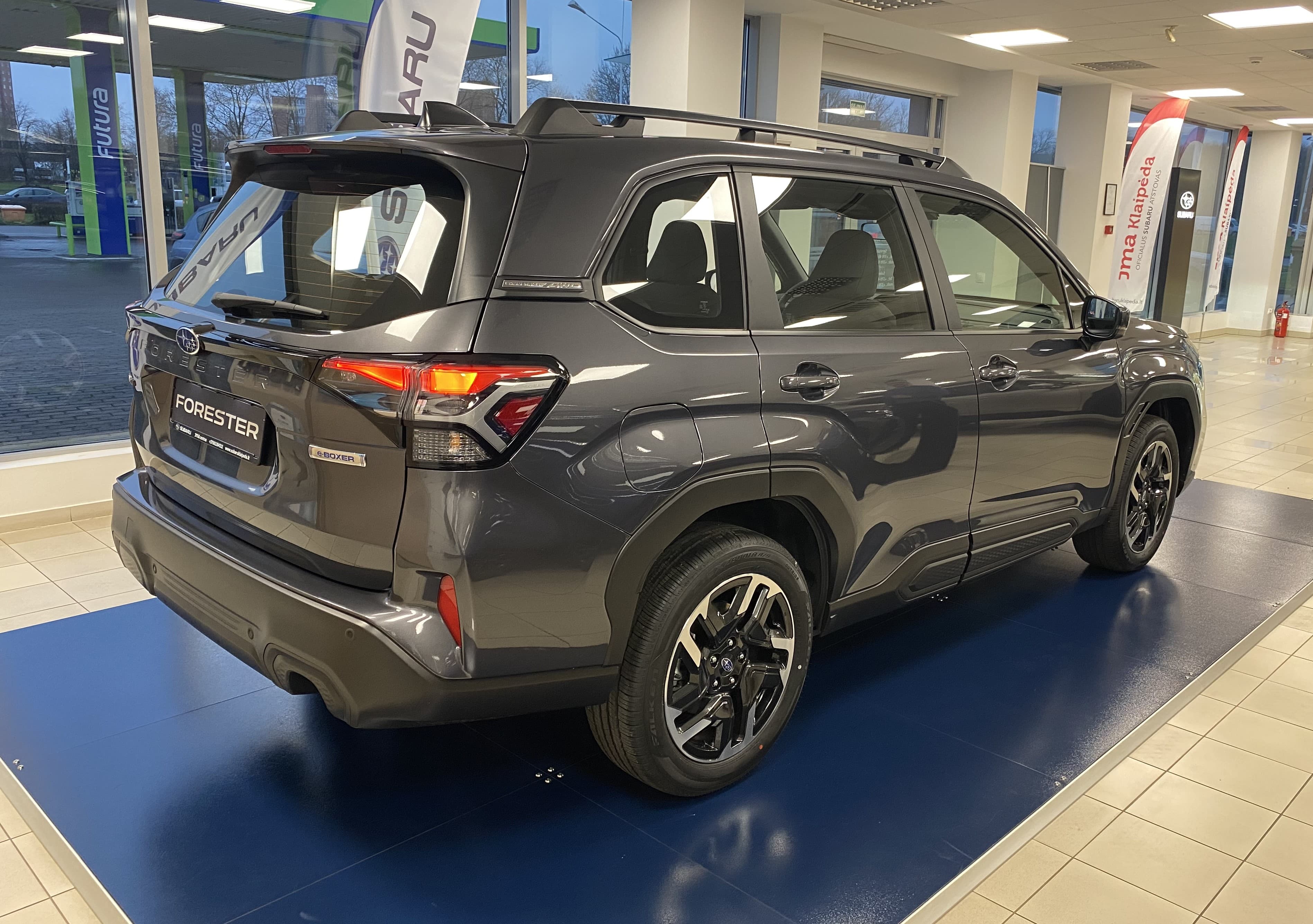 Forester ( Adventure ) 5 Grey