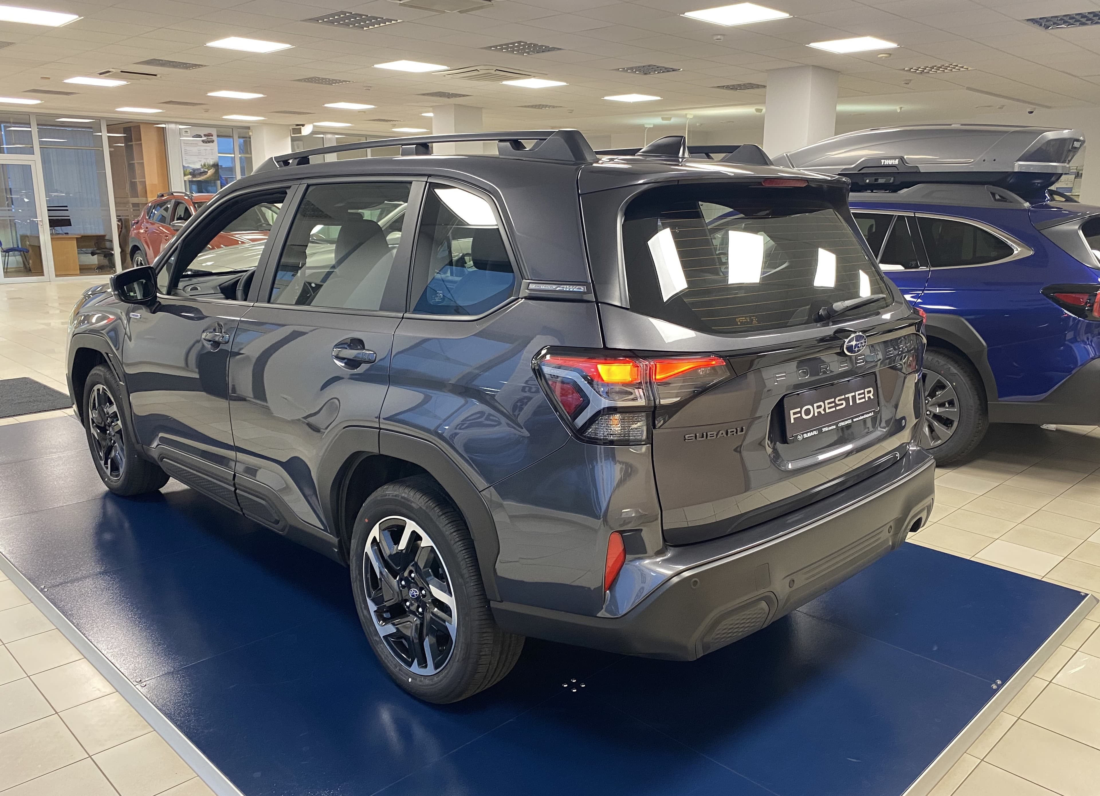 Forester ( Adventure ) 7 Grey